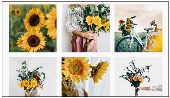 美国3月TRO侵权案件汇总|4800 + 店铺收到 TRO！