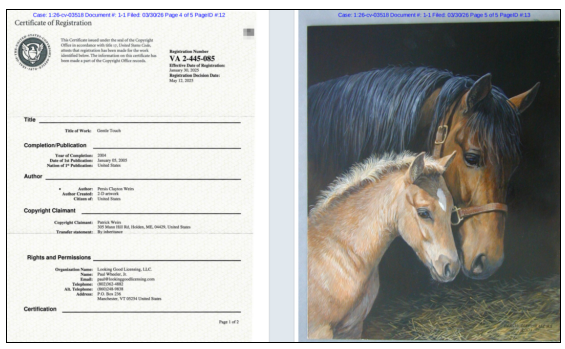 亚马逊商标版权侵权案例